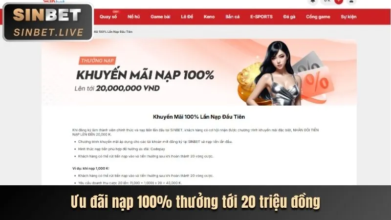 Chương Trình VIP Độc Quyền Vuabai99